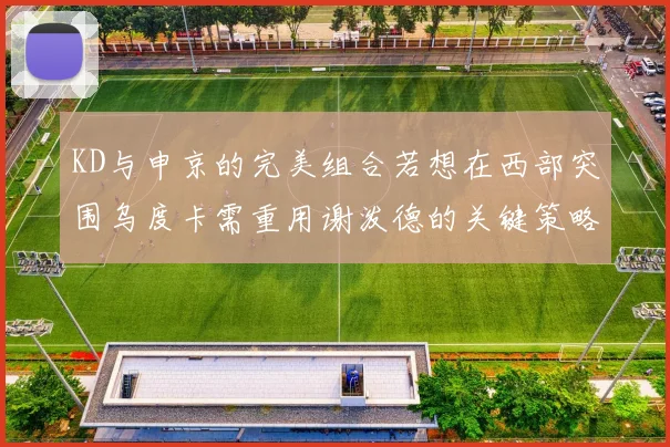 KD与申京的完美组合若想在西部突围乌度卡需重用谢泼德的关键策略