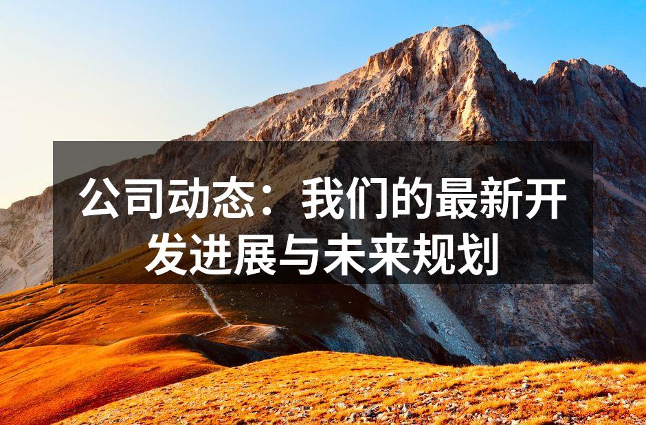 公司动态：我们的最新开发进展与未来规划