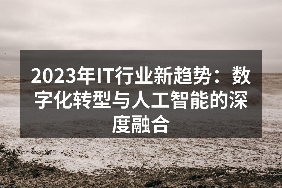 2023年IT行业新趋势：数字化转型与人